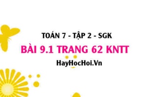Bài 9.1 trang 62 Toán 7 Tập 2 Kết nối tri thức: Quan hệ giữa góc và cạnh đối diện